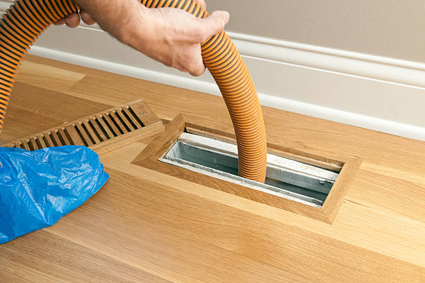Best HVAC System Cleaning  in Taylor, AZ