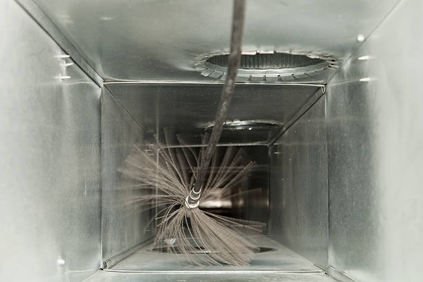 Best HVAC Air Duct Cleaning  in Taylor, AZ